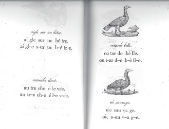 lecture mnémonique Gorgeret 2